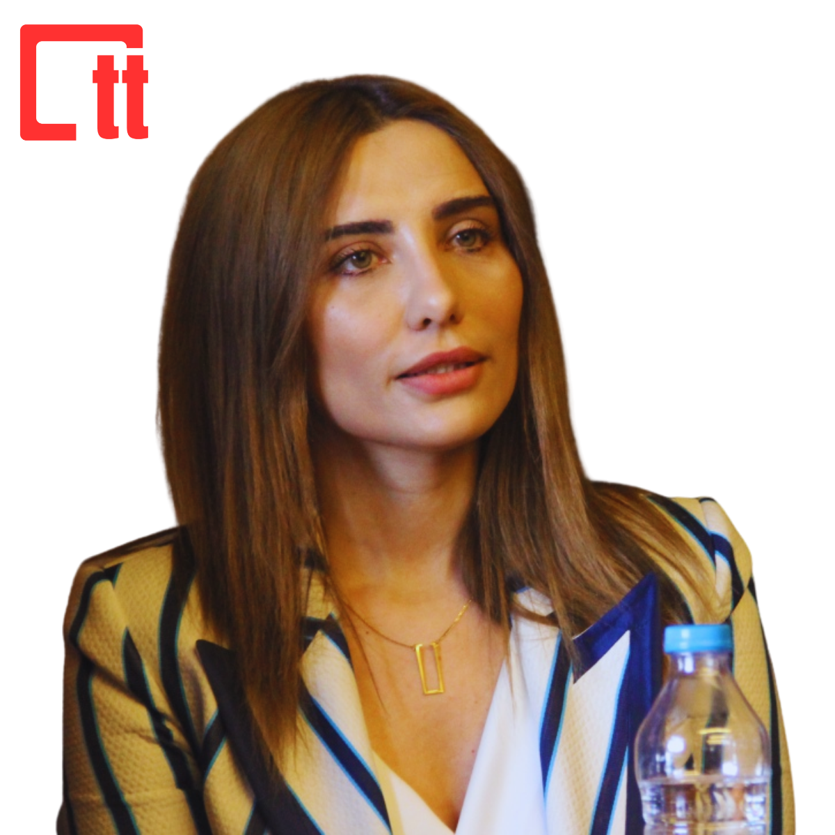 N. Nergis Büyükkınacı